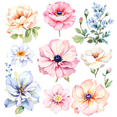 Obraz premium Set of watercolor flowers on white background, Set watercolor Flowers Clipart