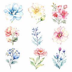  Set of watercolor flowers on white background, Set watercolor Flowers Clipart