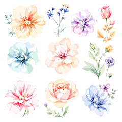  Set of watercolor flowers on white background, Set watercolor Flowers Clipart © Watercol