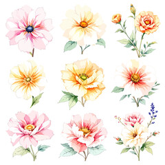 Set of watercolor abstract flowers on white background, wildflower clipart vector for graphic resources