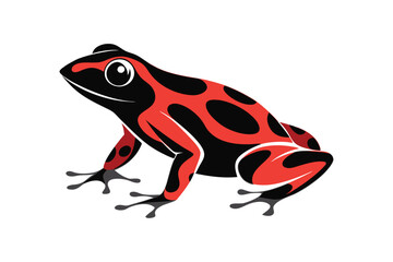 frog isolated on white background