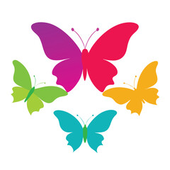 Fototapeta premium set of butterflies