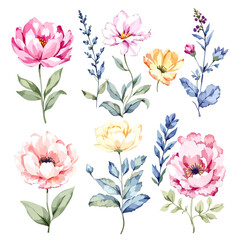 Set watercolor Flowers Clipart, wildflower clipart vector for graphic resources
