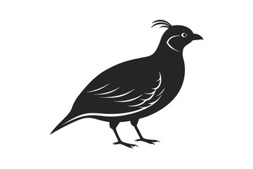 Fototapeta premium Quail silhouette vector isolated on white background