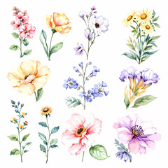 Set watercolor abstract Flowers Clipart, Beautiful floral bouquet illustrations set with watercolor hand drawn flowers © Watercol