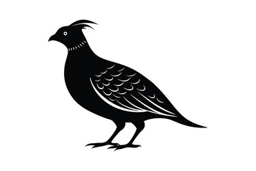 Fototapeta premium A silhouette vector illustration of quail bird on white background