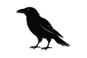 Obraz premium raven silhouette vector illustration on white background
