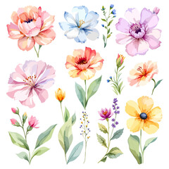 Set watercolor Flowers Clipart, wildflower clipart vector for graphic resources