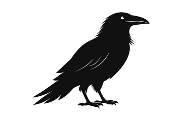 Fototapeta premium raven silhouette vector illustration on white background