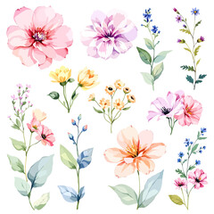 Fototapeta premium Set watercolor Summer Flowers Clipart, Beautiful floral bouquet illustrations set with watercolor hand drawn flowers