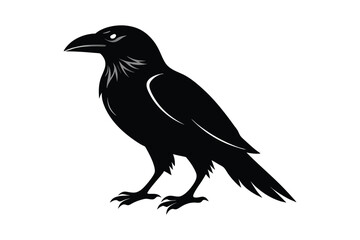 Obraz premium crow icon isolated on a white background