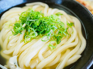 ネギが乗ったかけうどん　香川県