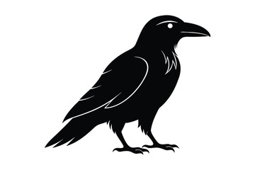 Fototapeta premium crow icon isolated on a white background