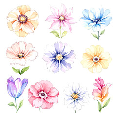 Set watercolor Summer Flowers Clipart, Beautiful floral bouquet illustrations set with watercolor hand drawn flowers