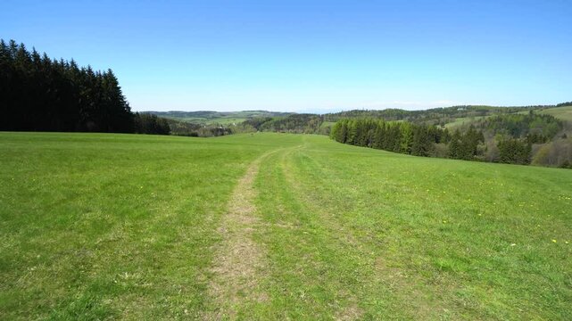 A walk down a trodden track in a vast meadow in a countryside - trees in the background on a sunny day