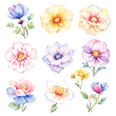 Set of watercolor flowers on white background