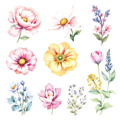 Set watercolor Flowers Clipart, wildflower clipart vector for graphic resources