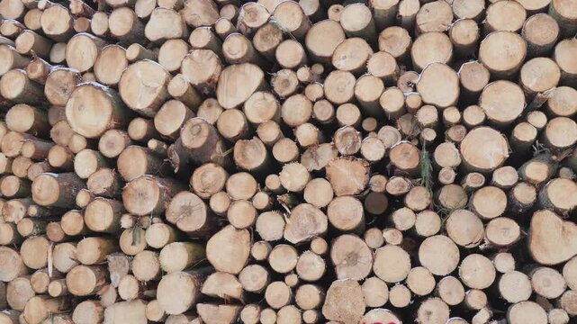 Closeup on a large stack of logs