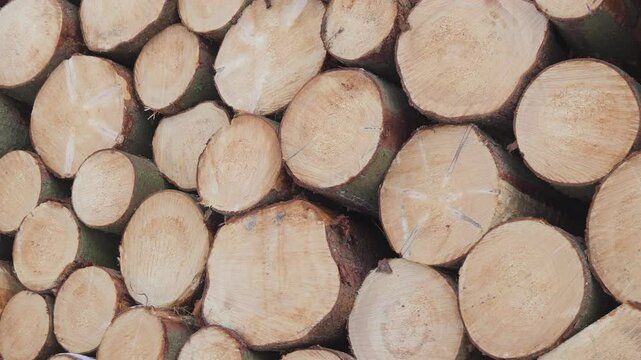 Closeup on a large stack of logs