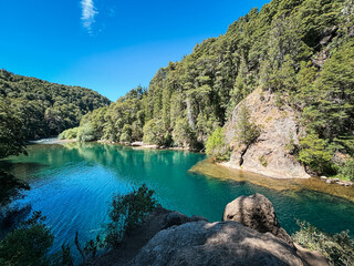 Turquoise river surrounded by dense forest viewed through trees