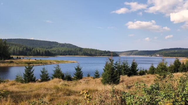 A beautiful vast valley with a lake surrounded by woods in wilderness on a sunny day