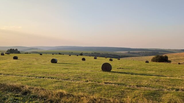 Hay bales sit strewn around a green field in a rural area on a sunny day