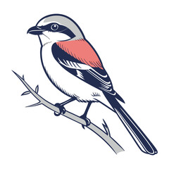 Blue tit bird with black and white wings isolated on a winter branch illustration