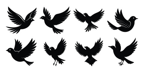Bird Silhouette Vector Bundle with white background 