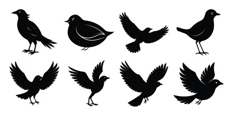 Bird Silhouette Vector Bundle with white background 