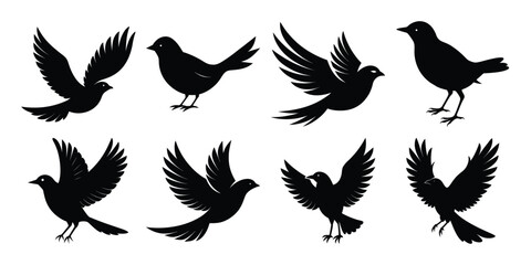 Bird Silhouette Vector Bundle with white background 