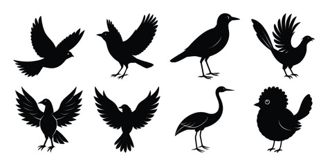 Bird Silhouette Vector Bundle with white background 