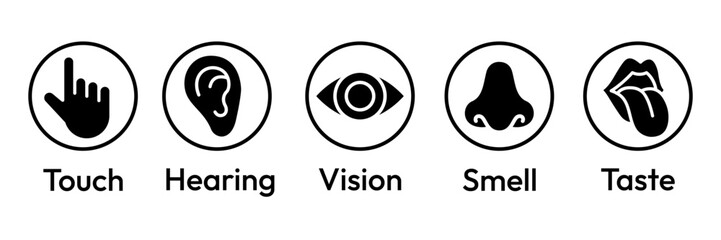 Human senses icon set. Vision eye, smell nose, hearing ear, touch hand, taste mouth with tongue. Simple line icons and black circle. Five senses of human nervous system. Vector illustration.