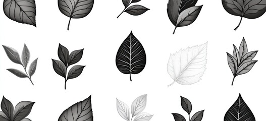 Fototapeta premium Monochrome leaf pattern with various shapes and sizes