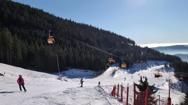 A snow-covered hill of a skiing resort surrounded by forests - skiers speed down the hill - cable cars ascend and descend the hill