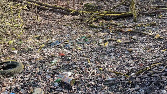 Human trash (mostly bottles, cans, and a tire) in a forest