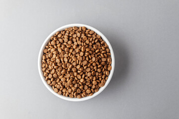 Closeup of dog food in white bowl on gray background