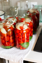 Preserving fresh tomatoes and tomato juice for the winter, stored in airtight jars for long-term use