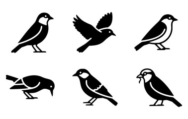 Obraz premium A collection of six stylized bird illustrations in a black and white color scheme