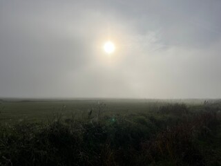 Fototapeta premium morning mist over the field