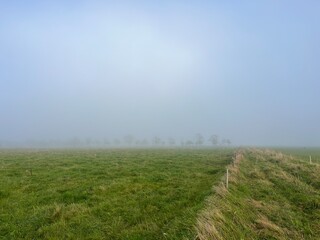 Fototapeta premium misty morning in the field