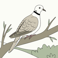 vector illustration of a bird