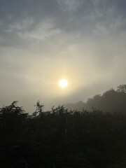 sunshine in the mist