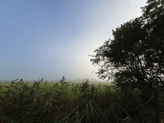 Obraz premium mist over the field