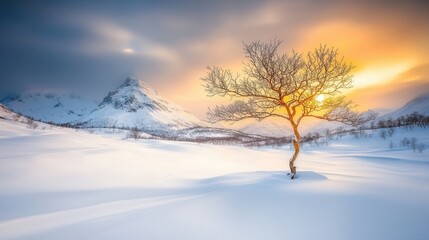 Obraz premium the snow covered landscape glistened under the gentle illumination of the full moon, casting an ethereal silver glow over the rugged terrain of the mountains