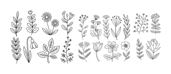 Hand-drawn Floral Line Art Set
