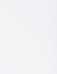 Fototapeta premium White paper texture page vertical orientation, rough paper background