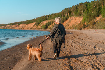 A curly-haired brown Labradoodle or Cavapoo dog with a adult woman are best friends by the sea at sunset.