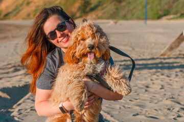 A curly-haired brown Labradoodle or Cavapoo dog with a young woman are best friends by the sea at sunset.