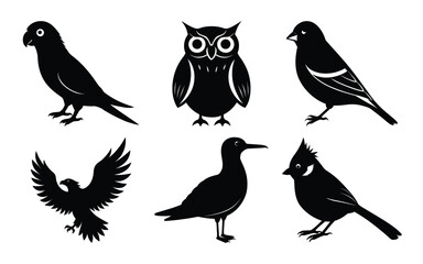 bird breeds silhouette on a white background