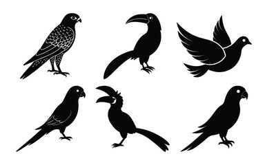 Fototapeta premium bird breeds silhouette on a white background